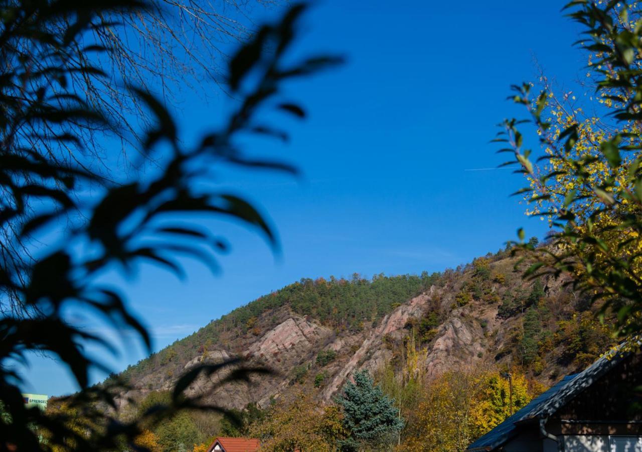 Hotel & Ferienwohnungen Bohlenblick Saalfeld Saale Εξωτερικό φωτογραφία
